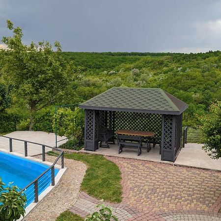 Rodynnyi Maietok Family Estate Villa Kamyanets-Podilski Dış mekan fotoğraf