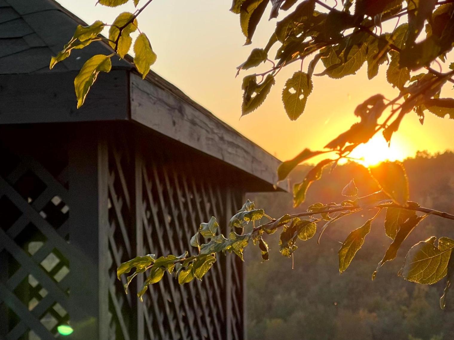 Rodynnyi Maietok Family Estate Villa Kamyanets-Podilski Dış mekan fotoğraf